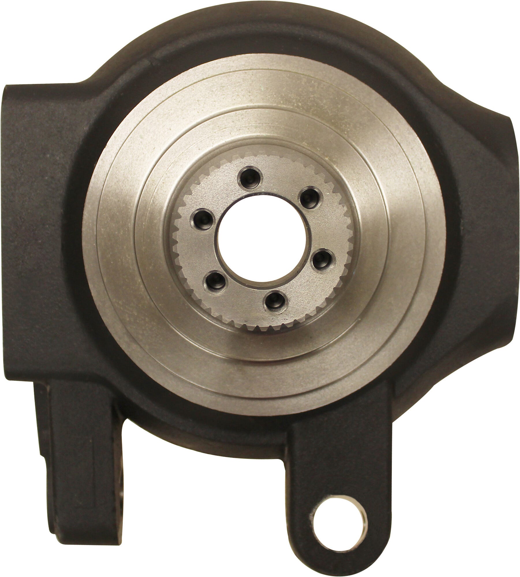 295163A2 - Steering Knuckle - Right Hand for Case IH